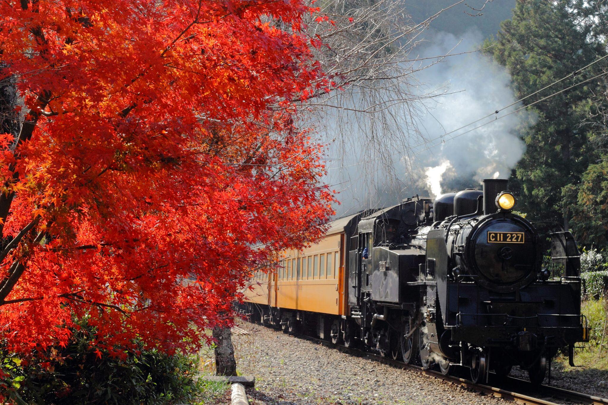 【大井川鐵道×くぼたび】XYZ世代40人と静岡県の”バズる超絶景”を鉄道とバスで巡る日帰りツアーを11月2日に実施