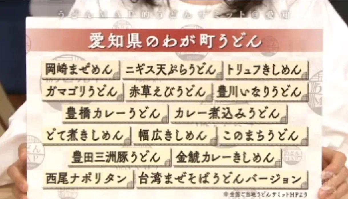 出汁の大阪、のどごし命の秋田、多様性の愛知、コシのなさが魅力の福岡…全国うどんサミット開催！_bodies