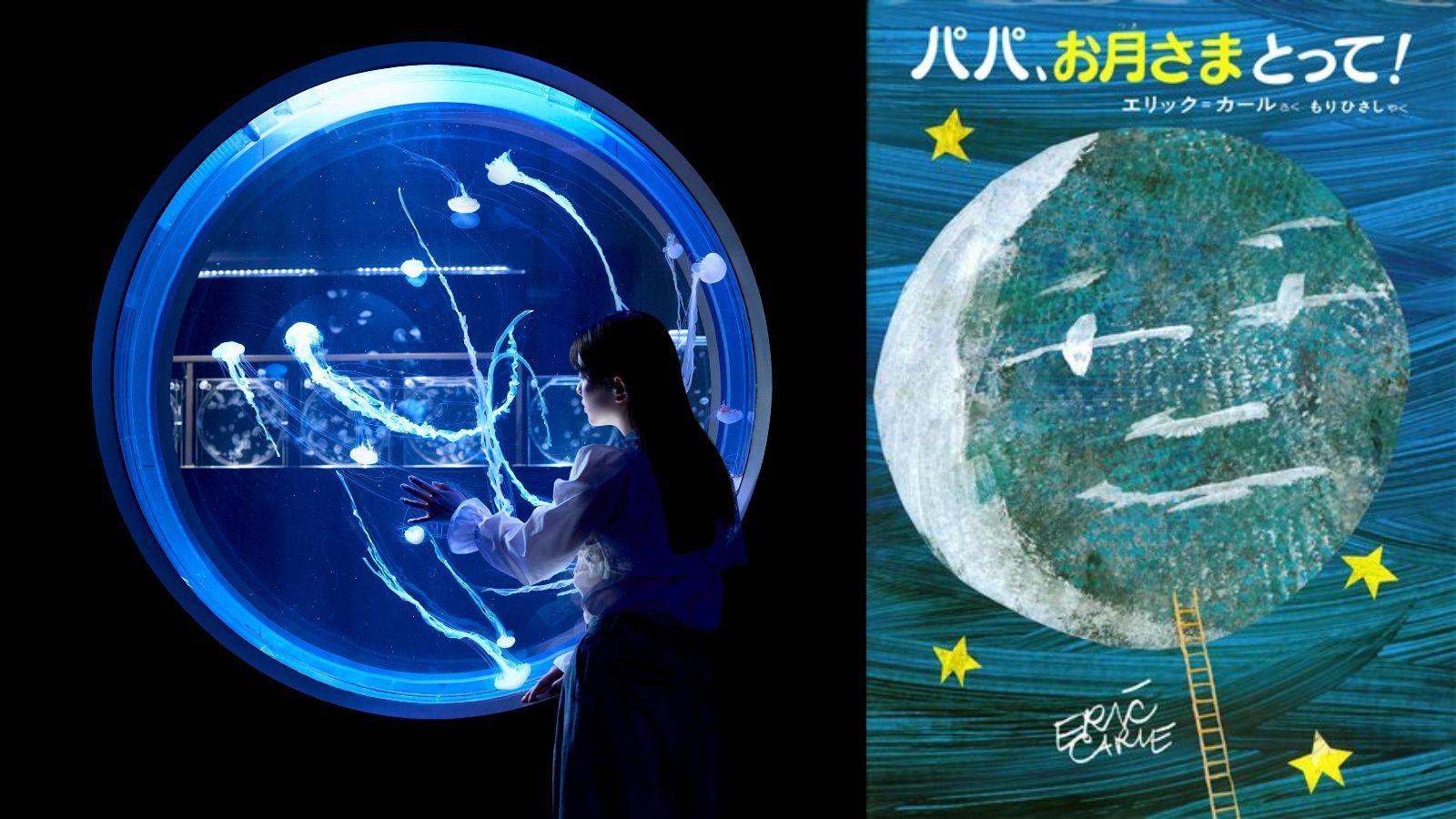 “月とクラゲ”をテーマにした秋のお月見イベントに2種類のクラゲを初展示！クラゲ水槽が月光に照らされる「ゆらゆらクラゲ ～中秋の名月～」を開催