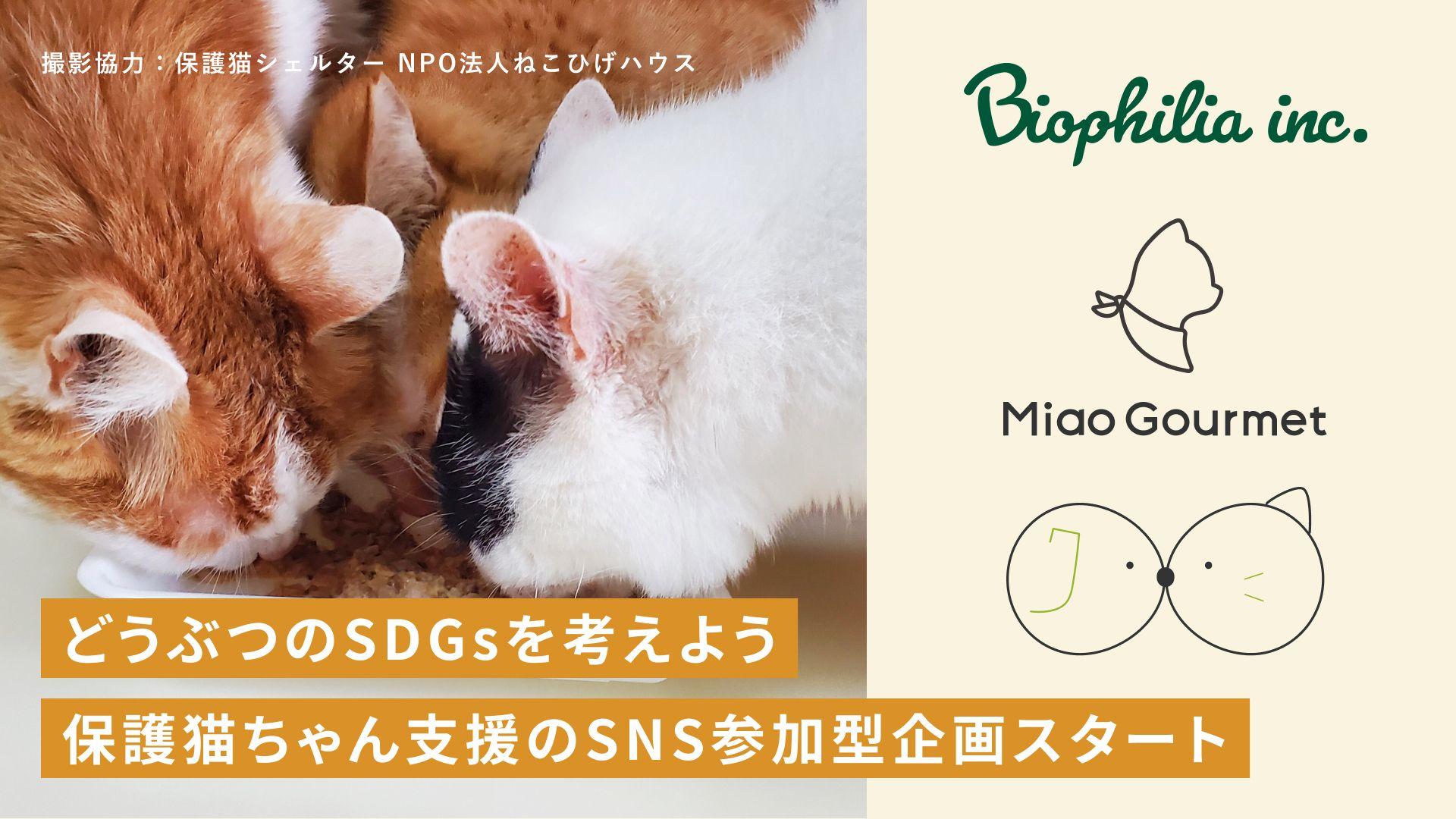 どうぶつのSDGsを考えよう！保護猫支援のSNS参加型企画スタート