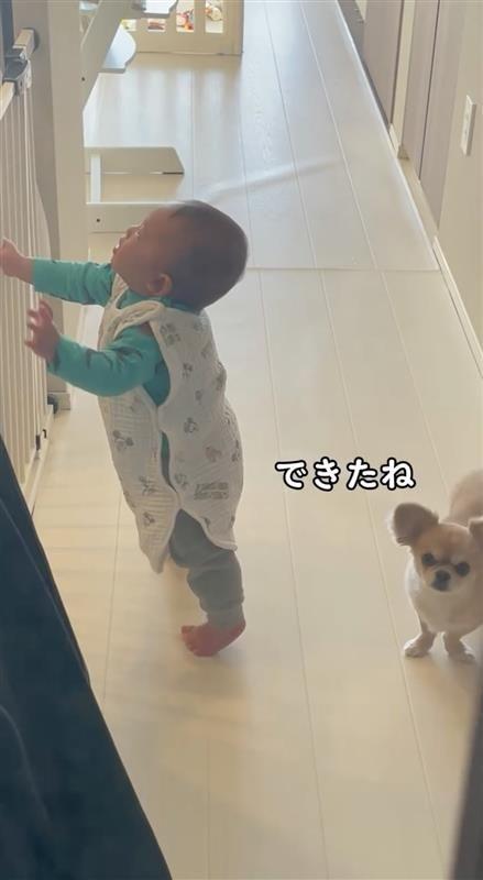 見本を見せる犬⑩