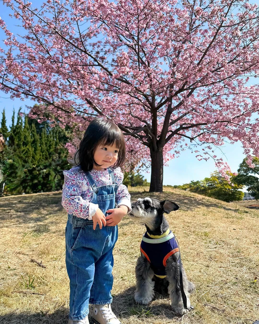 ハグしたい1歳の女の子vs上手にかわす犬！？抱きつく瞬間の“構えポーズ”にも注目【激かわキッズ&アニマル奇跡の瞬間】