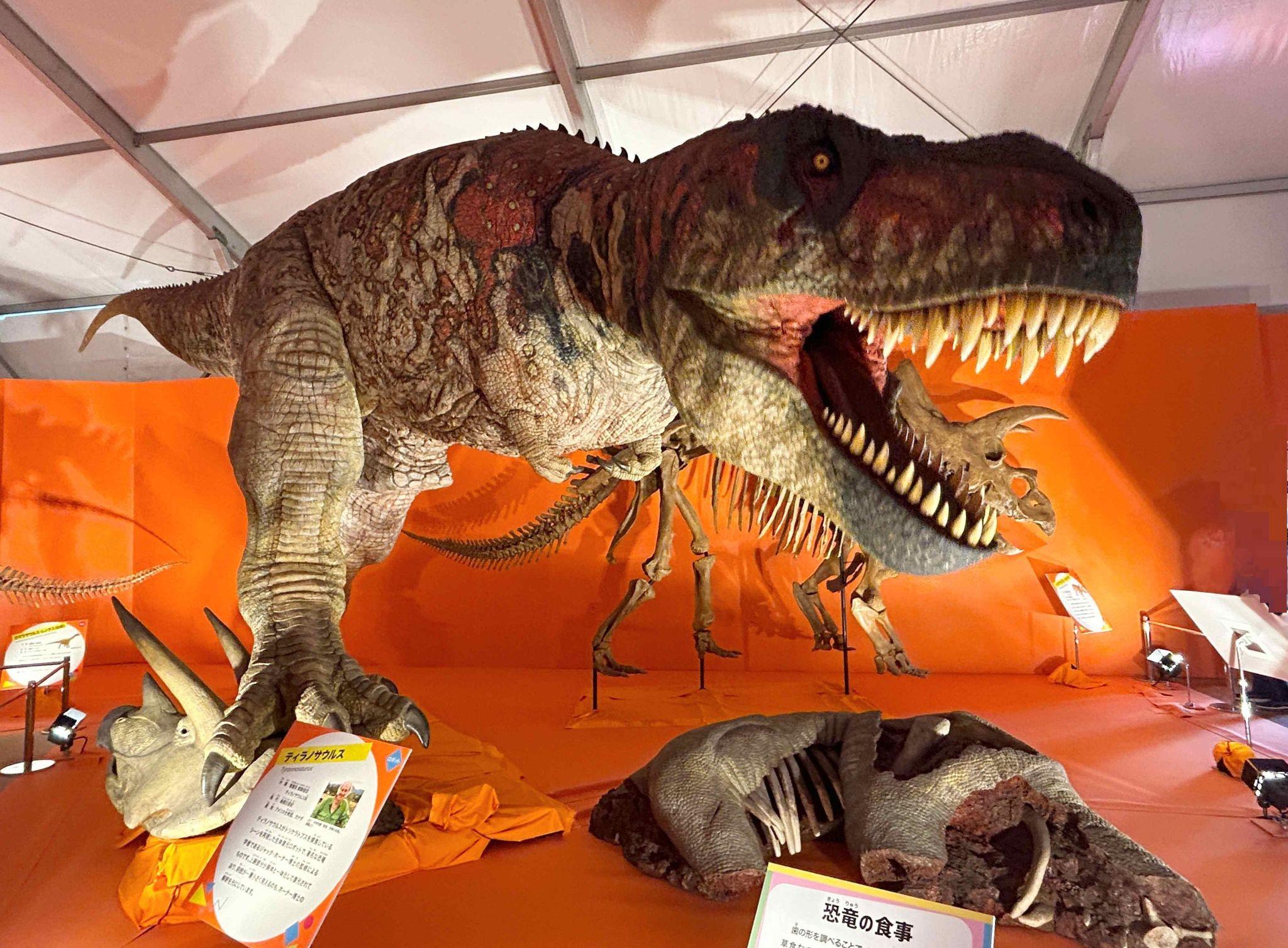 オダイバ恐竜博覧会2024に行ってみた