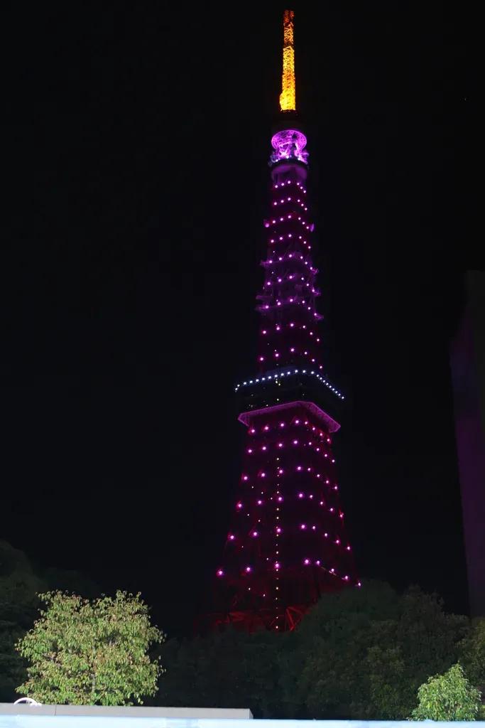山﨑賢人 主演映画の公開に「ワクワク」東京タワーを“純愛の色”に染め上げる_bodies