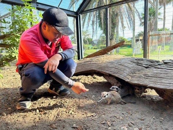 水族館や動物園で暮らす動物たちの「家族」になれる「OHANA SHIP」の提供を開始