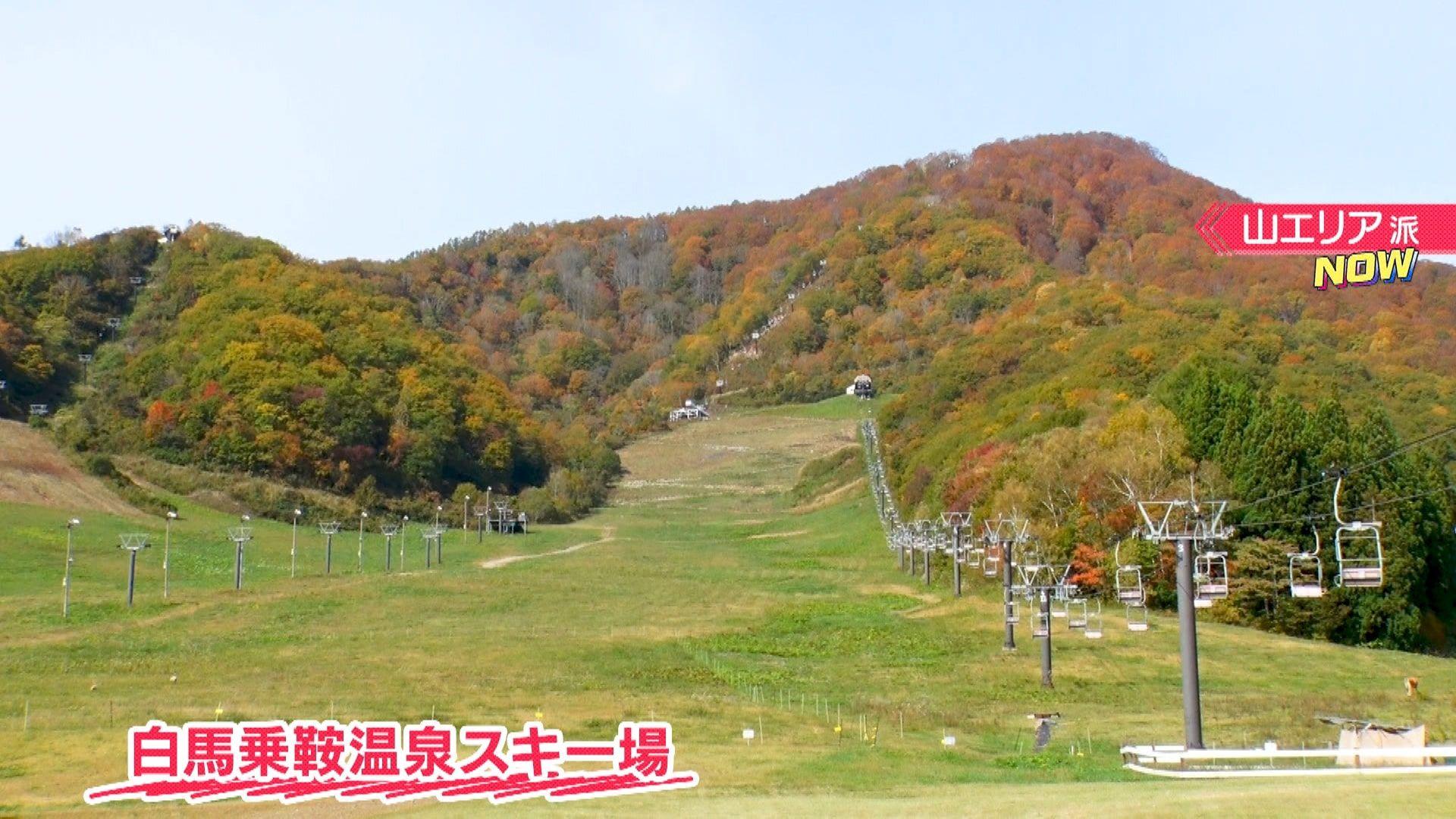 どっち派　長野の紅葉③