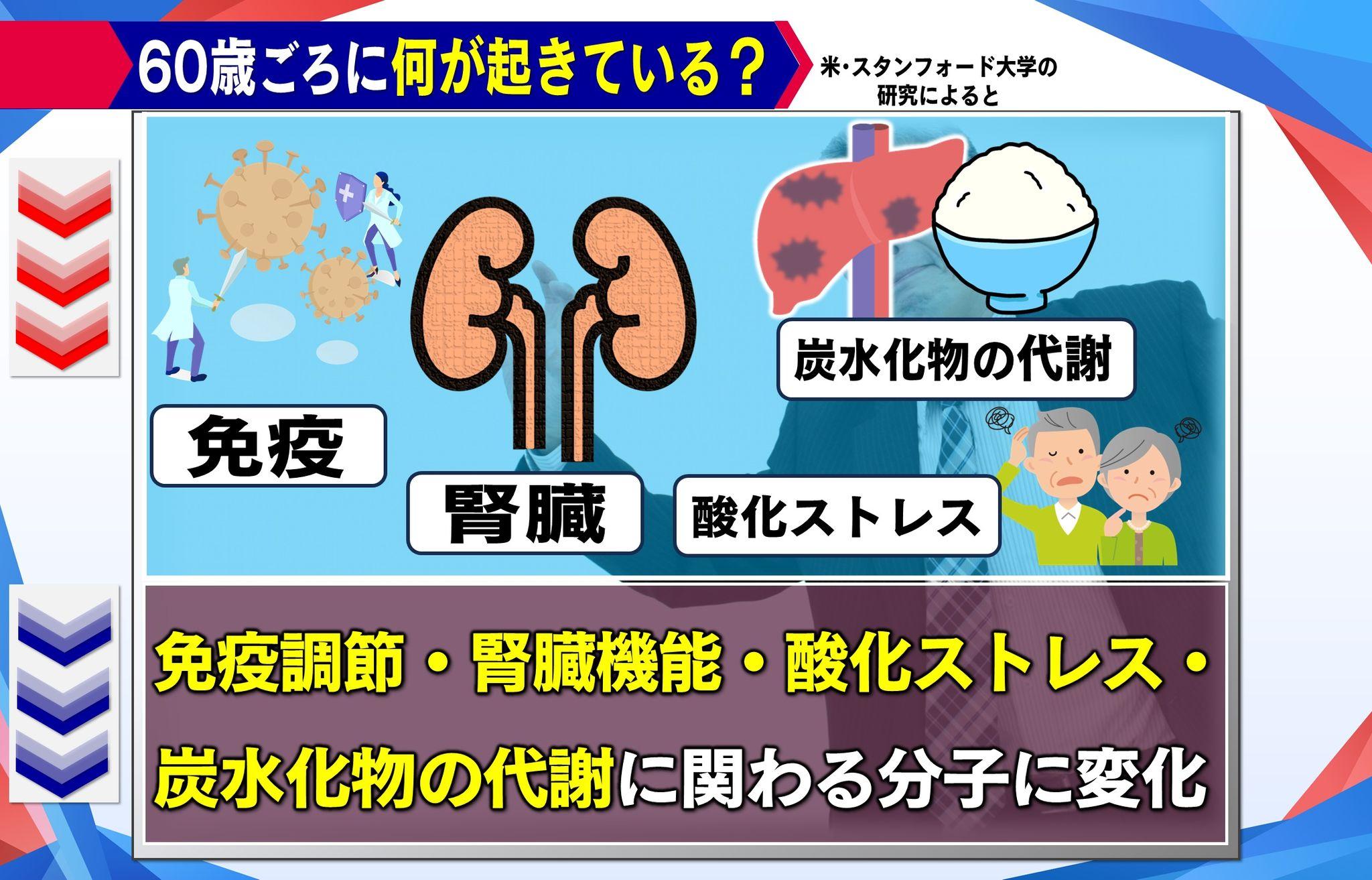 め8老化 (4)