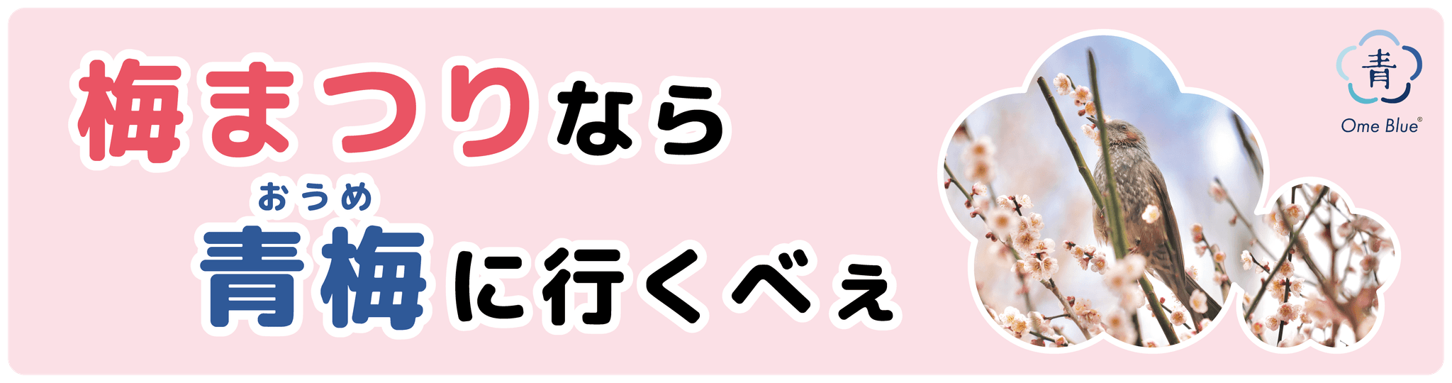 東京都青梅市とCheerDriveによる観光PRキャンペーン開催！