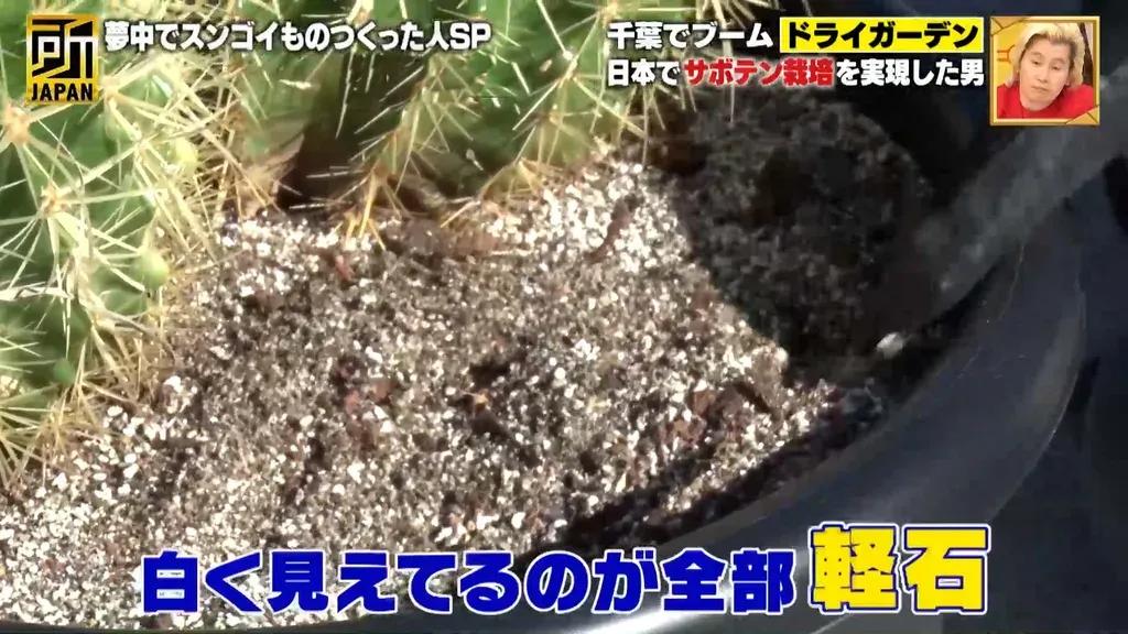 森泉がドライガーデンを紹介！日本でサボテン栽培を実現させた人物がスンゴイ！！_bodies