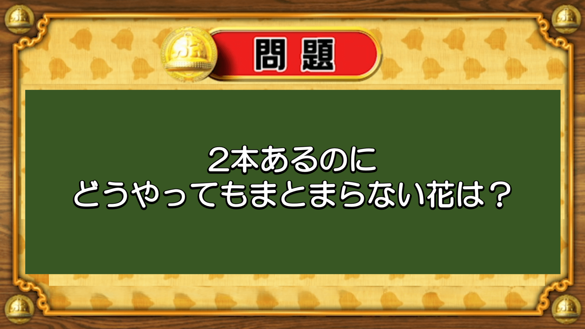 【おめざめ脳トレ】なぞなぞ！2本あるのにどうやってもまとまらない花は何でしょう？【『クイズ！脳ベルSHOW』より】