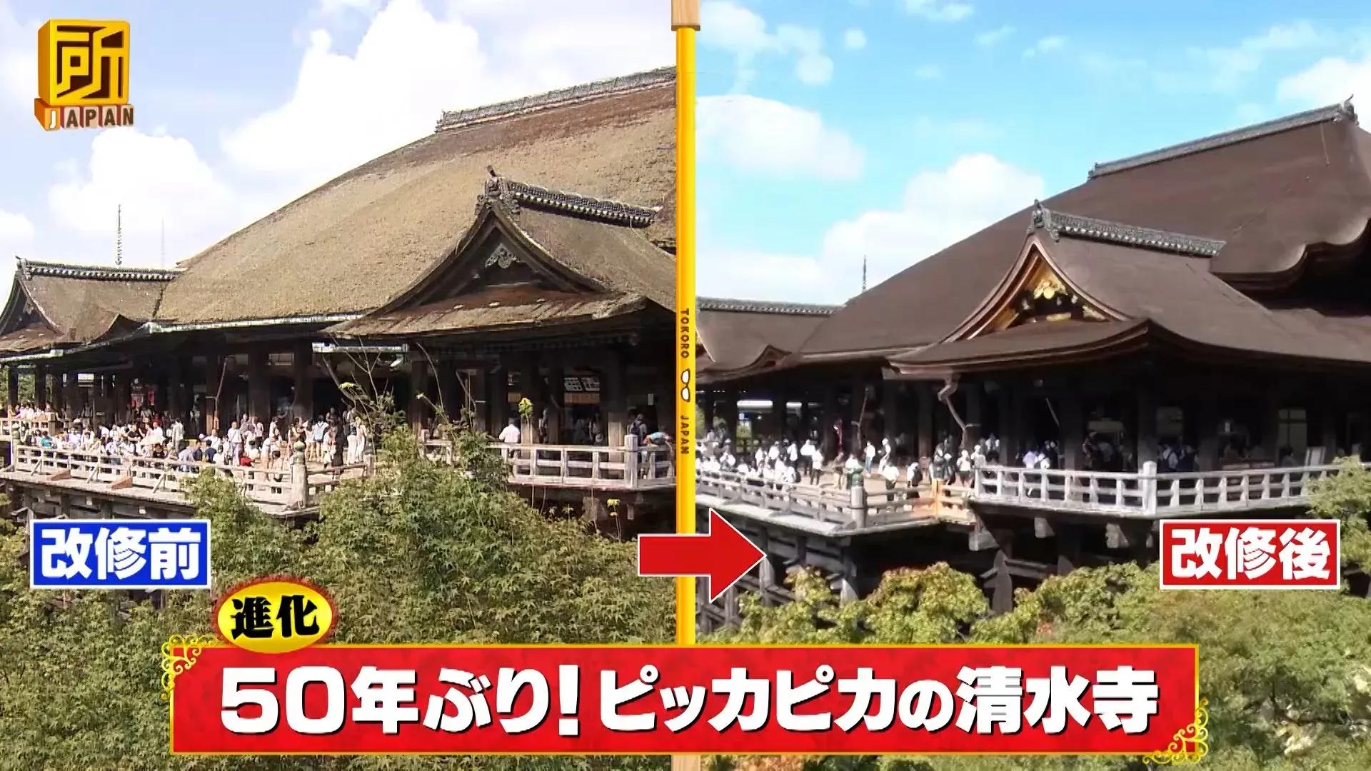 京都の伝統的文化が現代に合わせて進化！最新グルメや観光スポットを調査_bodies