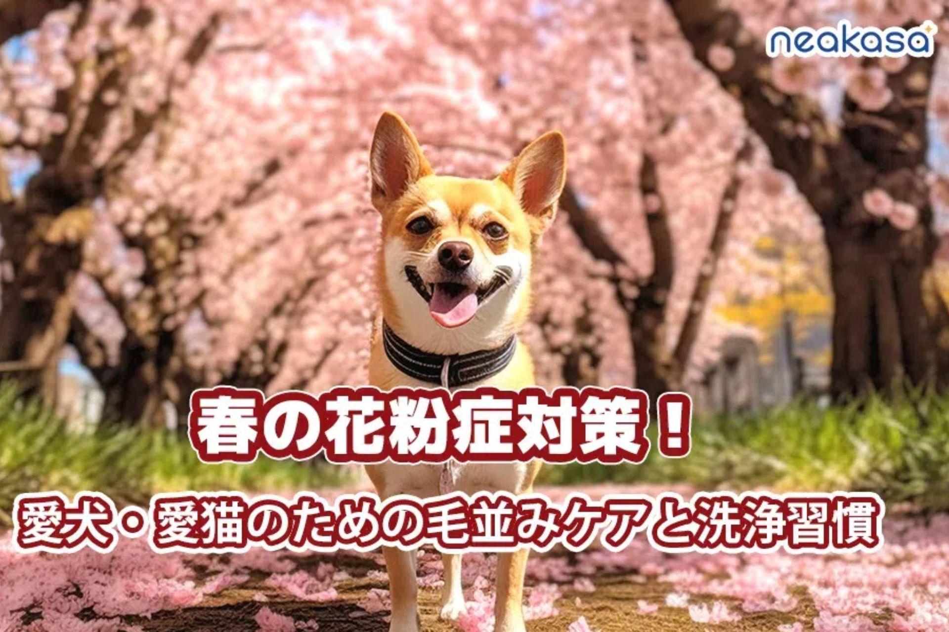 【NEAKASA】春の花粉症対策！愛犬・愛猫のための毛並みケアと洗浄習慣のいろいろ