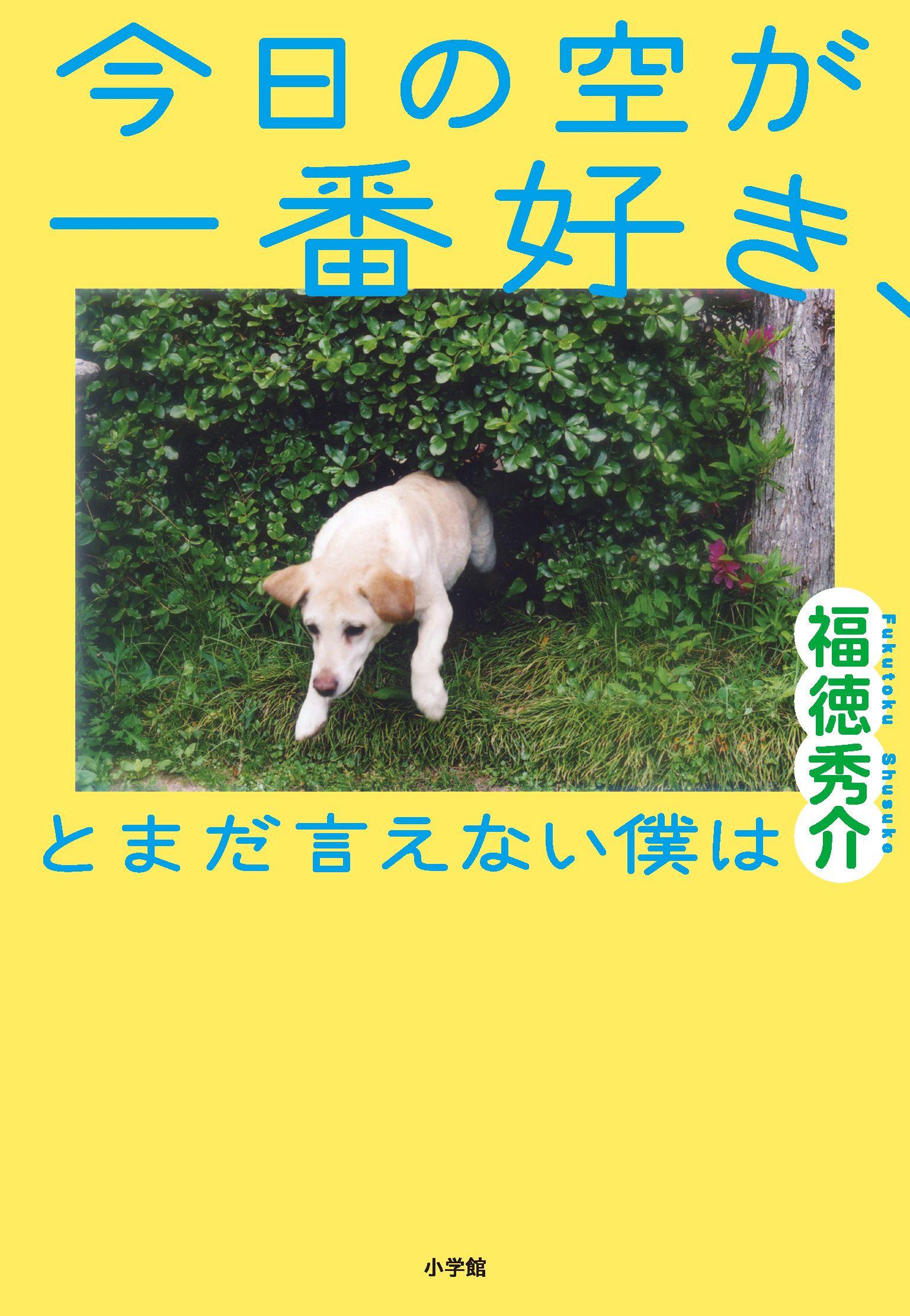 福徳秀介『今⽇の空が⼀番好き、とまだ⾔えない僕は』（⼩学館刊）