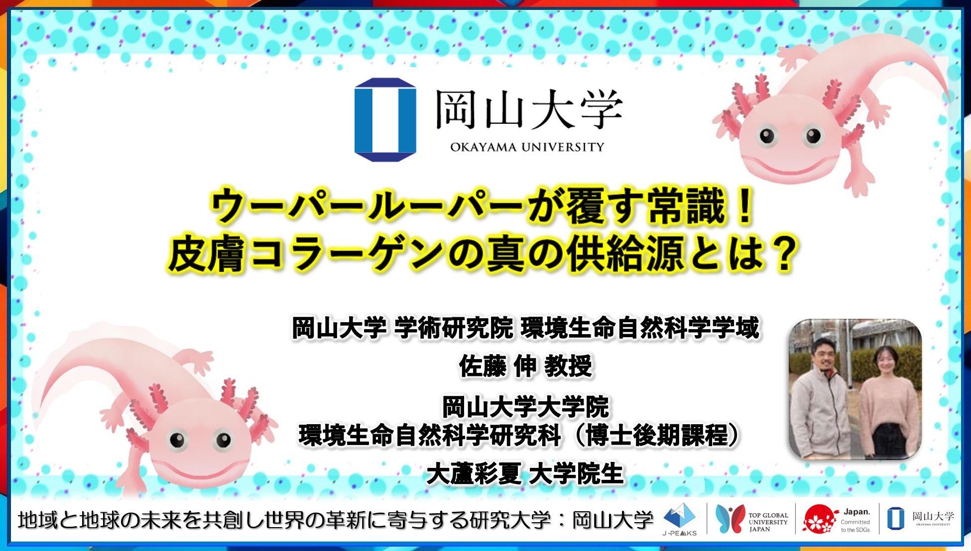 【岡山大学】ウーパールーパーが覆す常識！皮膚コラーゲンの真の供給源とは？