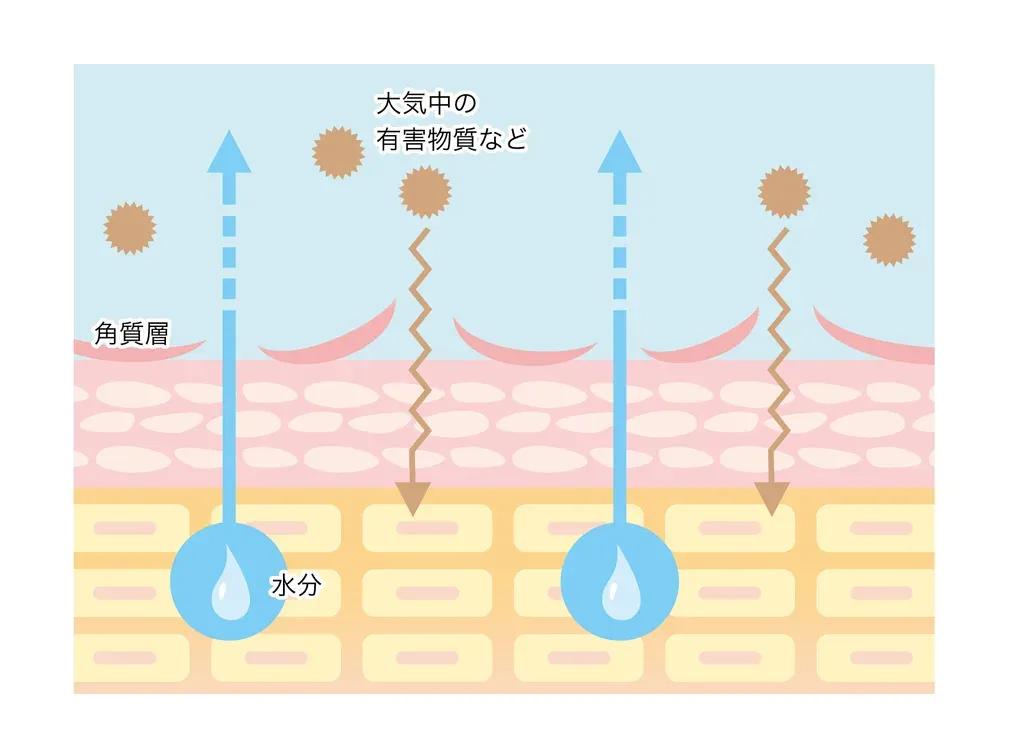 コロナを理解してマスクを外す時間を増やす！友利新先生に聞くマスクによる肌トラブルの予防法は？_bodies