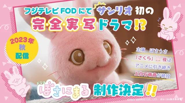 アニメに続きサンリオ初の完全実写化！FODでドラマ『ぼさにまる』制作＆配信_bodies