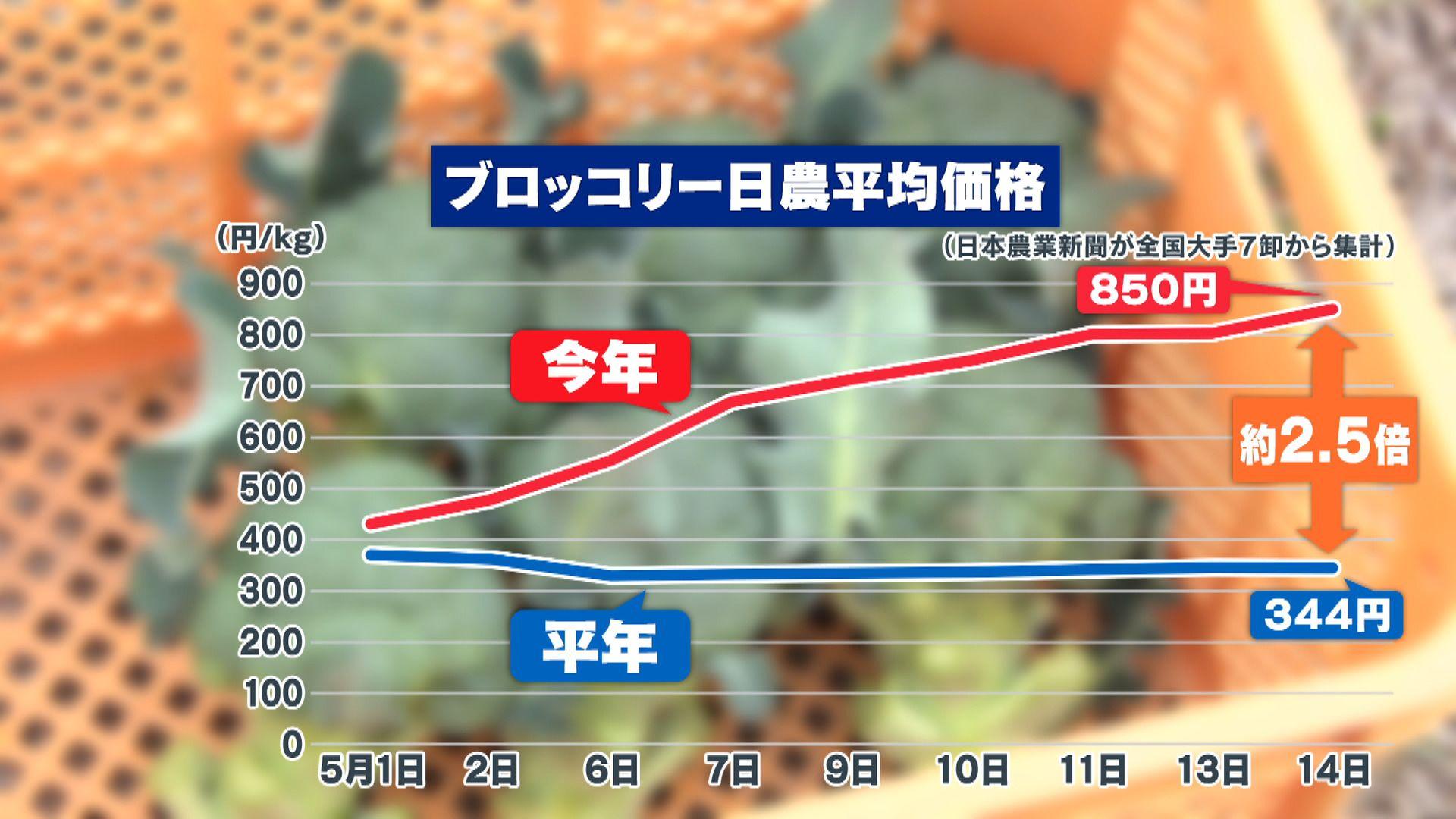 め８野菜高騰⑤ブロッコリー日農平均価格