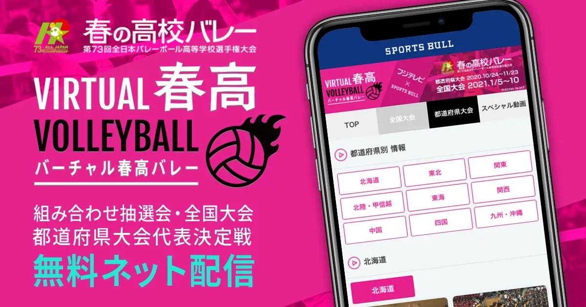 「バーチャル春高バレー」都道府県大会代表決定戦は全試合無料ライブ配信＆全国大会も全試合無料配信！_bodies