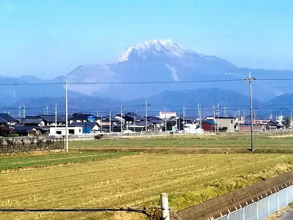 今年は、スギ花粉が過去10年間で最多！？【あまたつ！お天気コラム】_bodies