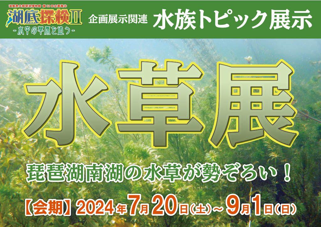 2024年度水族トピック展示「水草展～水中の草原を追う～」を開催します