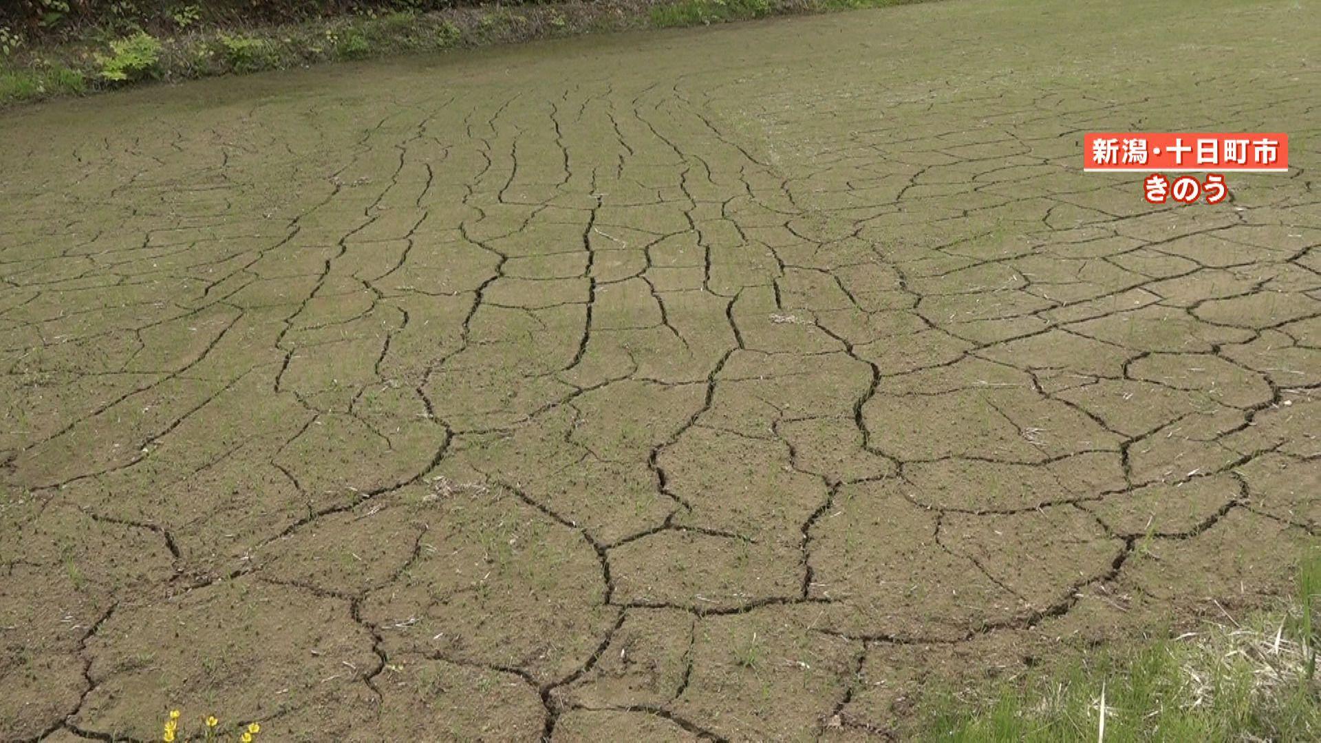 【天達解説】遅れる梅雨 “水不足”で田植え断念も…2024年の梅雨入りはいつ？特徴は？