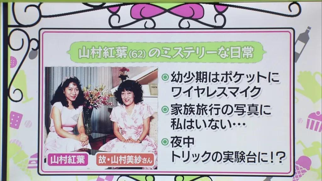 山村紅葉が薦める京都の老舗料亭のレトルトカレー！鴨つくねと欧風のルーがベストマッチ_bodies