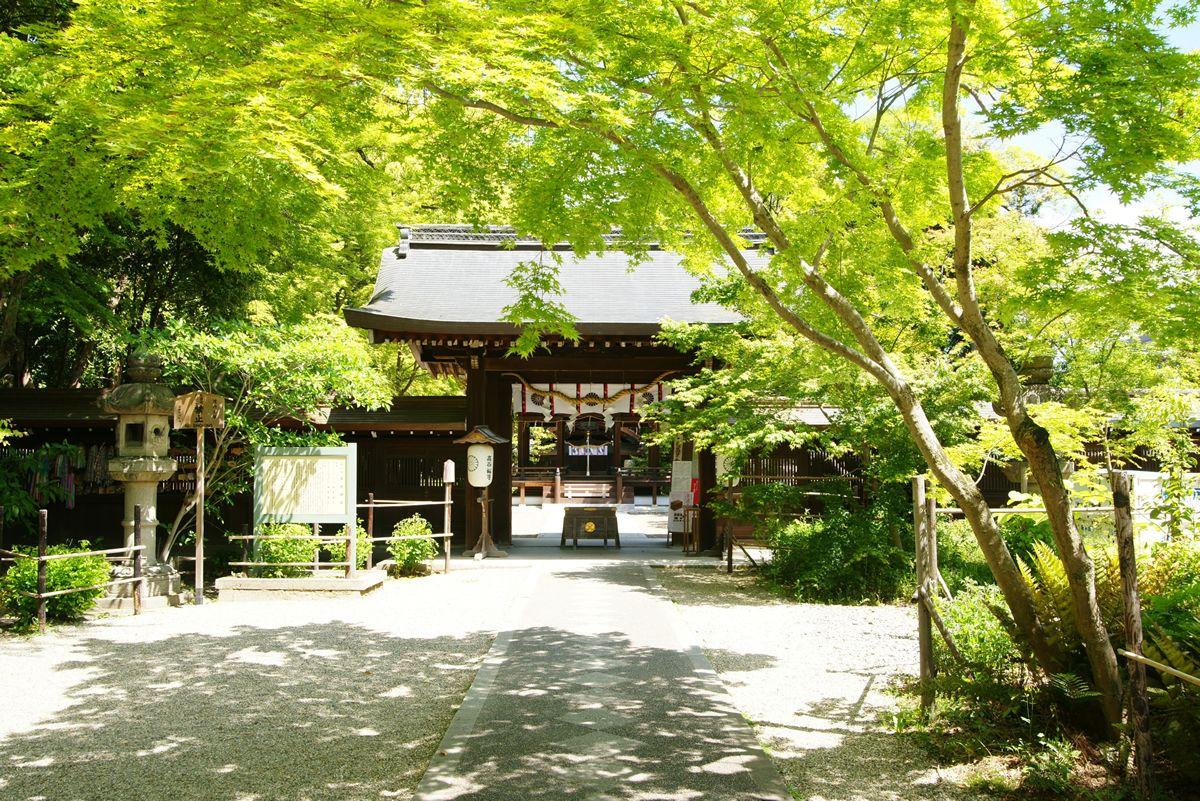 ことなり京都 in 梨木神社「第一回京都やおよろず文学賞」8月22日（木）～10月13日（日）まで一般公募にて800文字迄の短編作品募集　11月9日イベントにて受賞作品発表と巨大萩のトンネルをお披露目