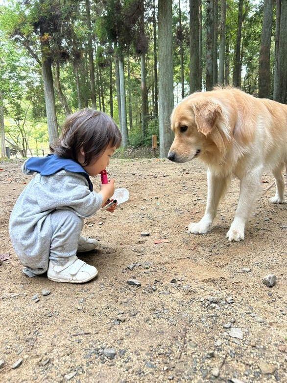 まあくんとむうくん