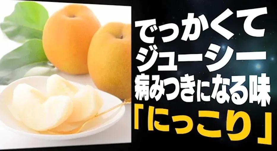 「梨が一番好き」という新木優子、高級梨を800円と予想するが…_bodies