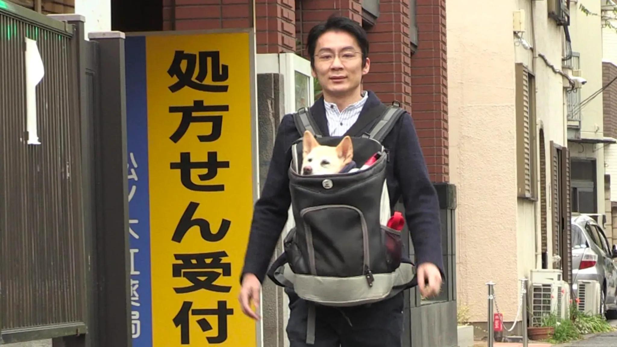 『ザ・ノンフィクション 花子と先生の18年～人生を変えた犬～』がニューヨーク・フェスティバルで銅賞を獲得_bodies