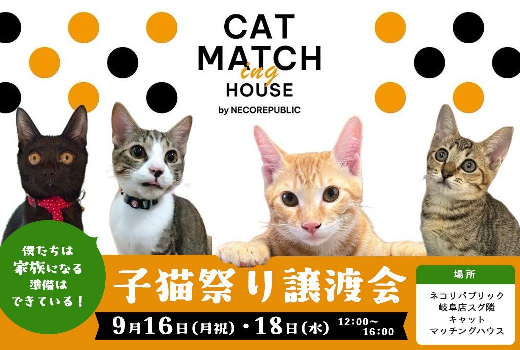 岐阜市に保護猫とマッチングできる新たな施設、キャットマッチングハウスがオープン！子猫祭りを開催！猫たちは家族になる準備はできています！