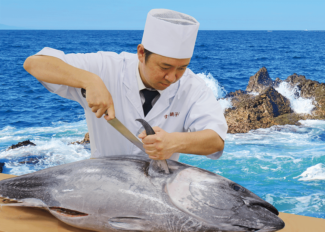 【すし銚子丸】創業48周年全力感謝還元祭も終盤戦突入！11月25日より「本まぐろ祭り」、本まぐろ中とろが平日半額！そして30日（土）は生本まぐろ解体ショーを全店同時開催！