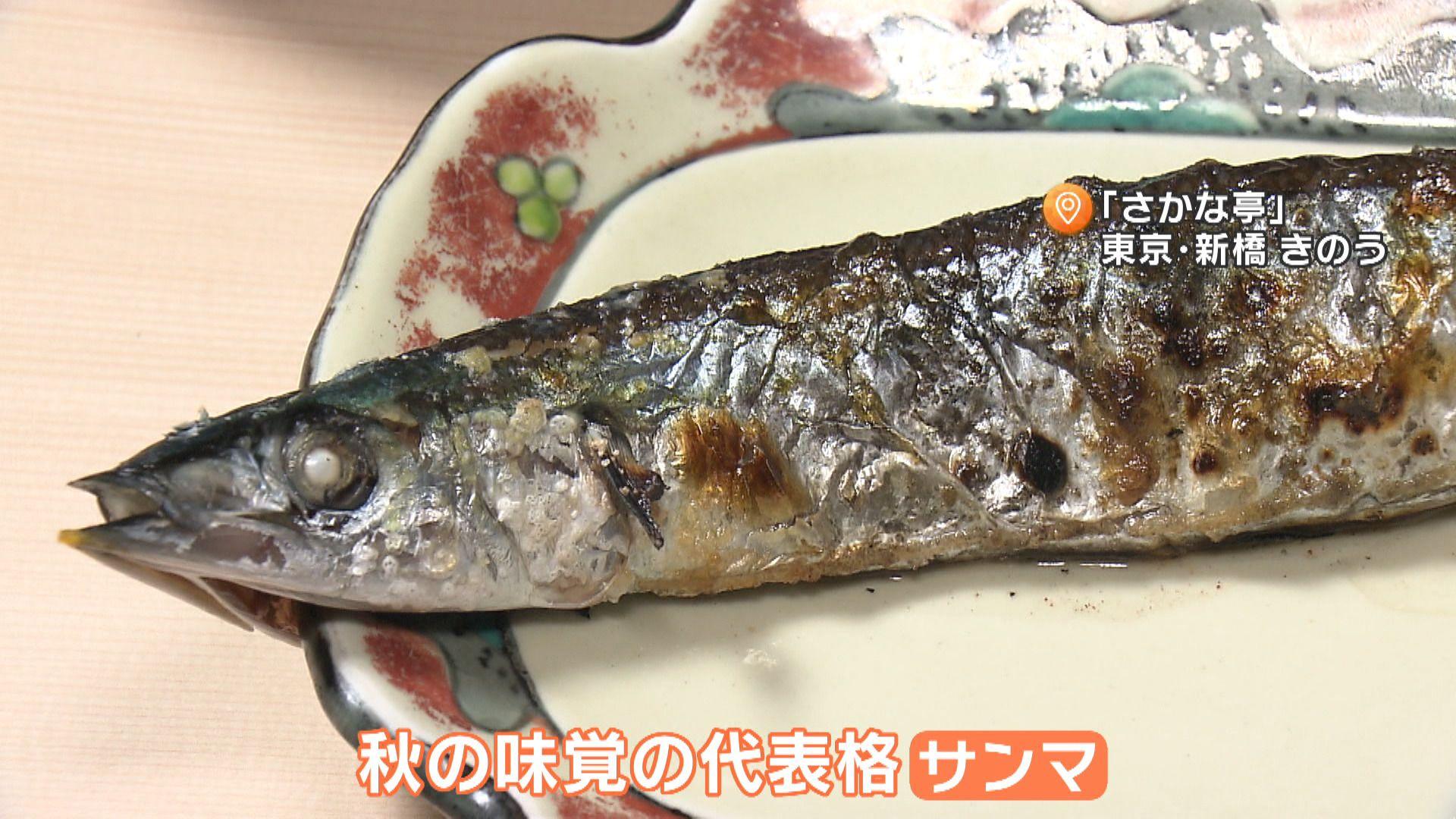 【なぜ？】今年はサンマ豊漁と思いきや不漁！？秋の味覚が去年同様の漁獲量の見通しに…今おすすめの魚は？