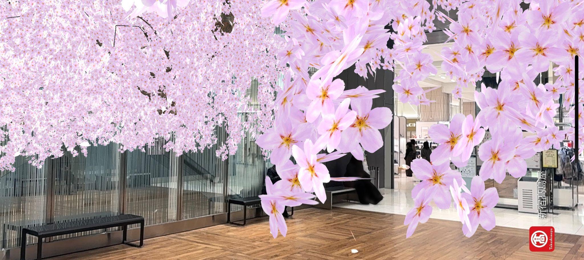 【新宿高島屋】スマートフォンで一足早く満開の「桜」のお花見が楽しめます！　『ARさくらまつり in 新宿高島屋』