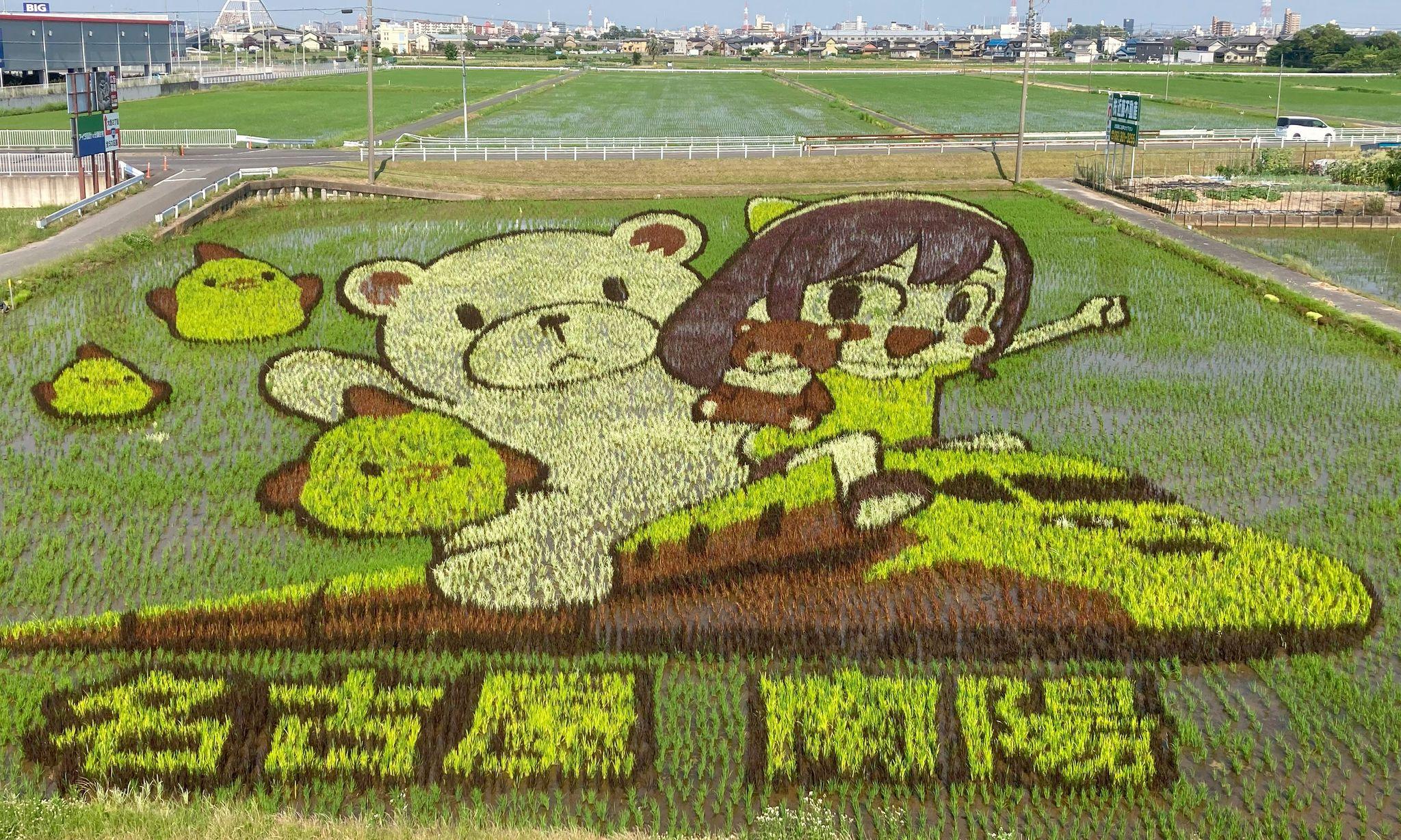 ヒマリとくま名古屋市の田んぼアートが色づく 新名物「ぴよりん」や引退を発表した「ドクターイエロー」の姿も 7月上旬が見頃