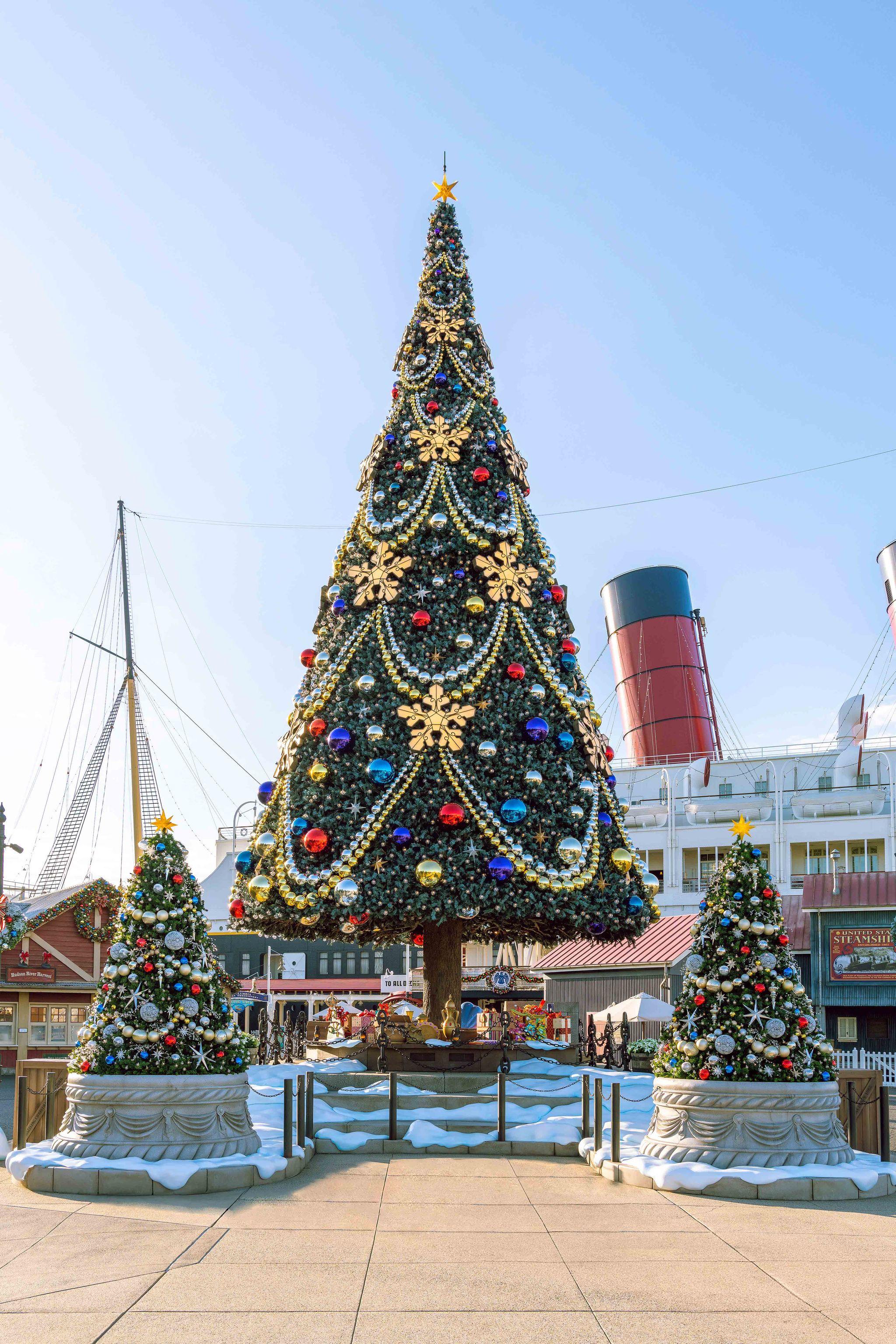 02-4.東京ディズニーシー　アメリカンウォーターフロントのクリスマスツリー