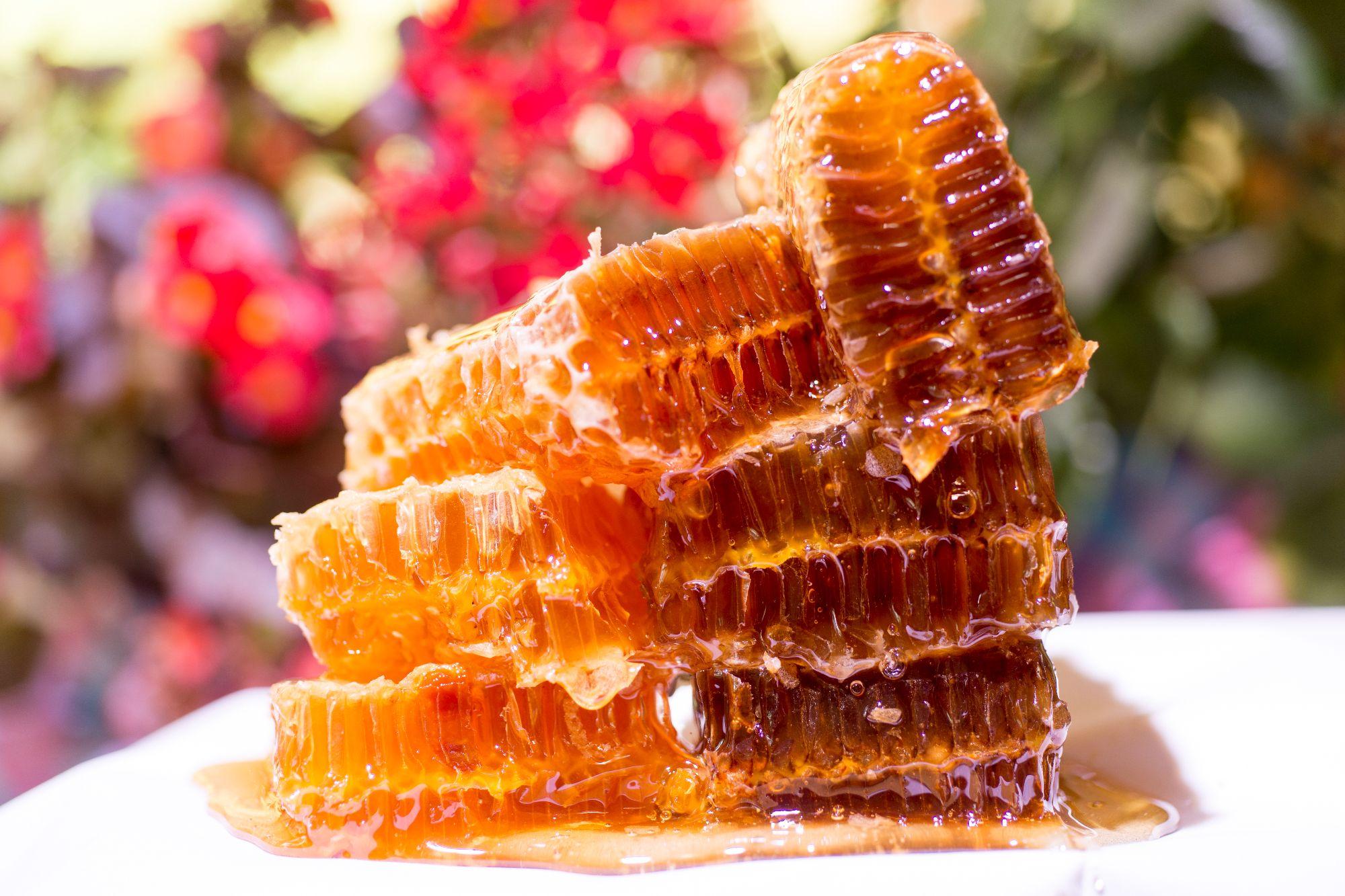 アナトリアで最も美味しい蜂蜜を求めて　８/9(金)～8/11(火)ハチミツフェスティバル開催