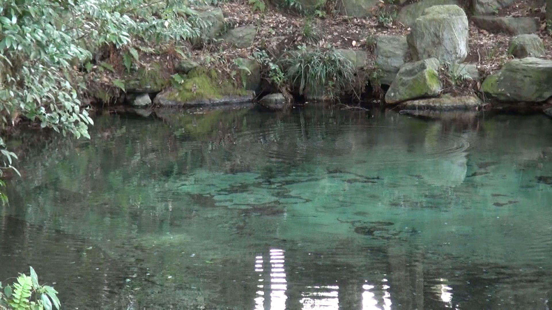 泉神社投げ銭15