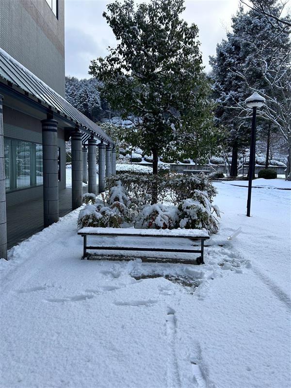 仏像雪だるま