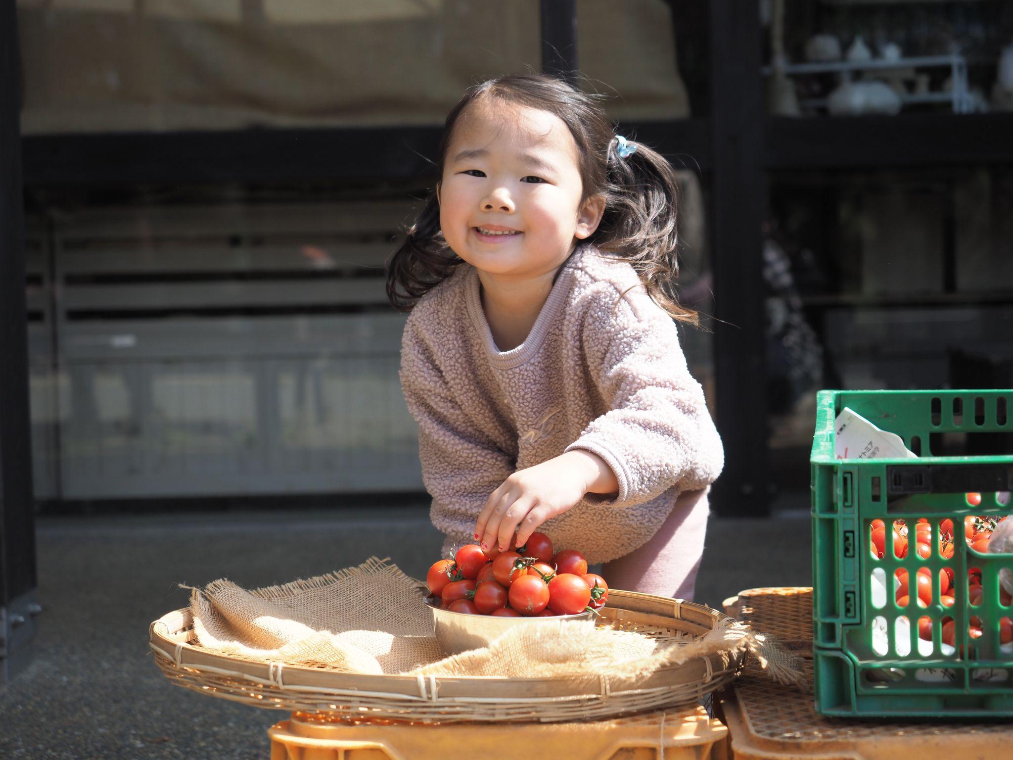 野菜高騰の今だから、“収穫の楽しさ”を体験しながらおトクにゲット。農園リゾートTHE FARMが来園者向けに「あま～いフルティカトマト盛り放題」イベントを実施中