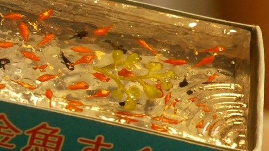 マッチ箱金魚すくい６