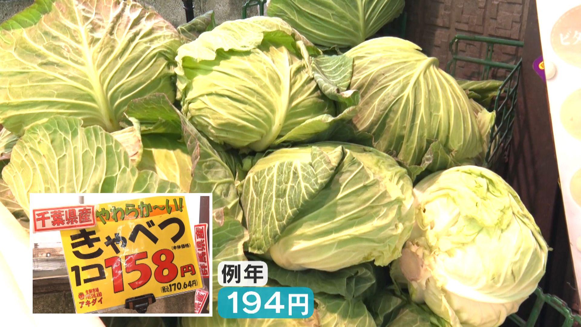 ④野菜巨大化キャベツ