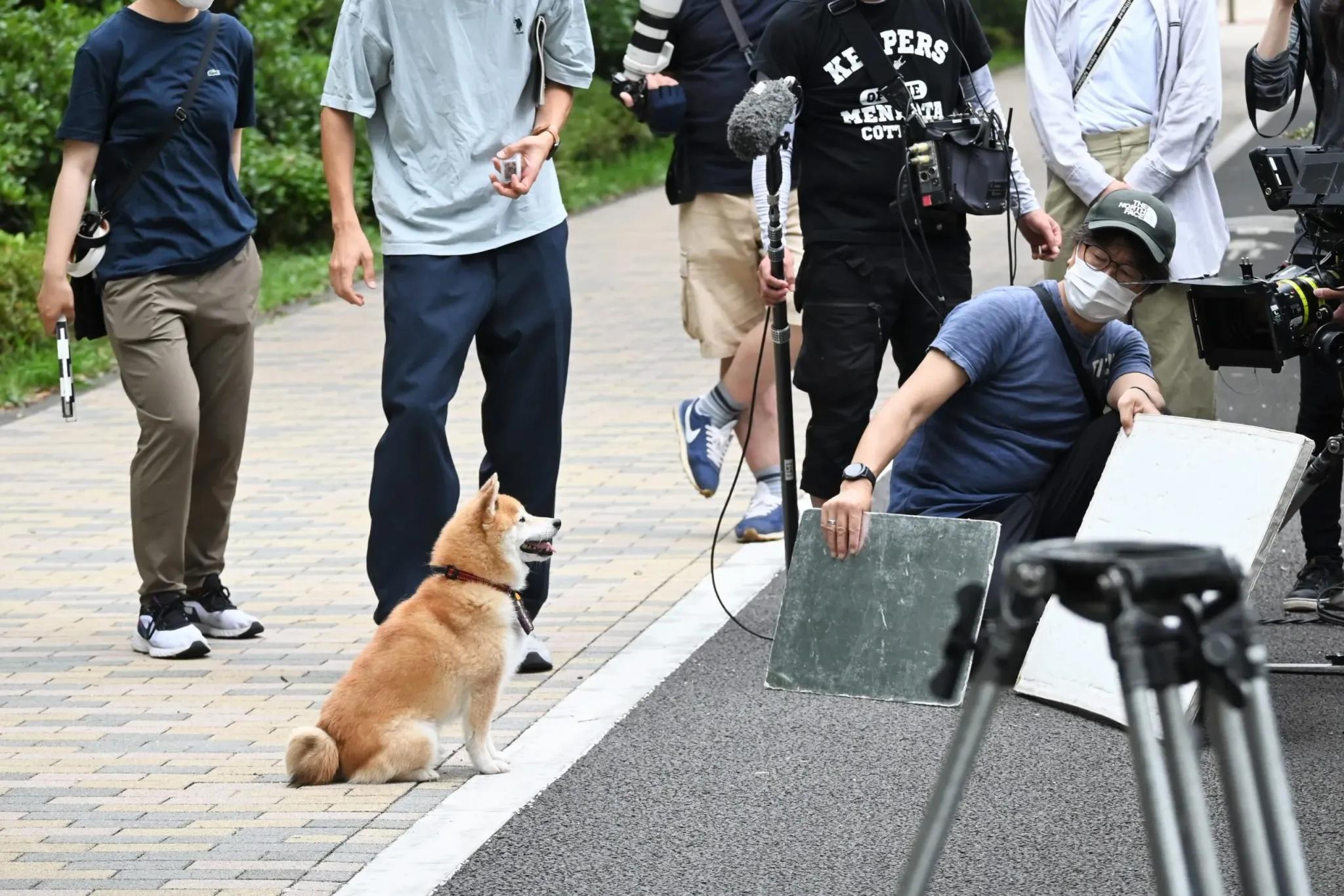 『ナンバMG5』特別編で、津田健次郎と柴犬の豆三郎が共演！撮影レポート_bodies