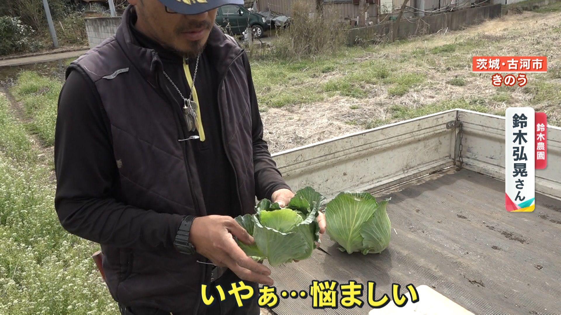 め8野菜高騰11