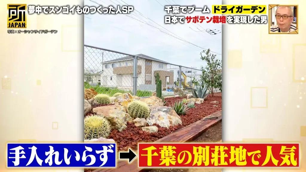森泉がドライガーデンを紹介！日本でサボテン栽培を実現させた人物がスンゴイ！！_bodies
