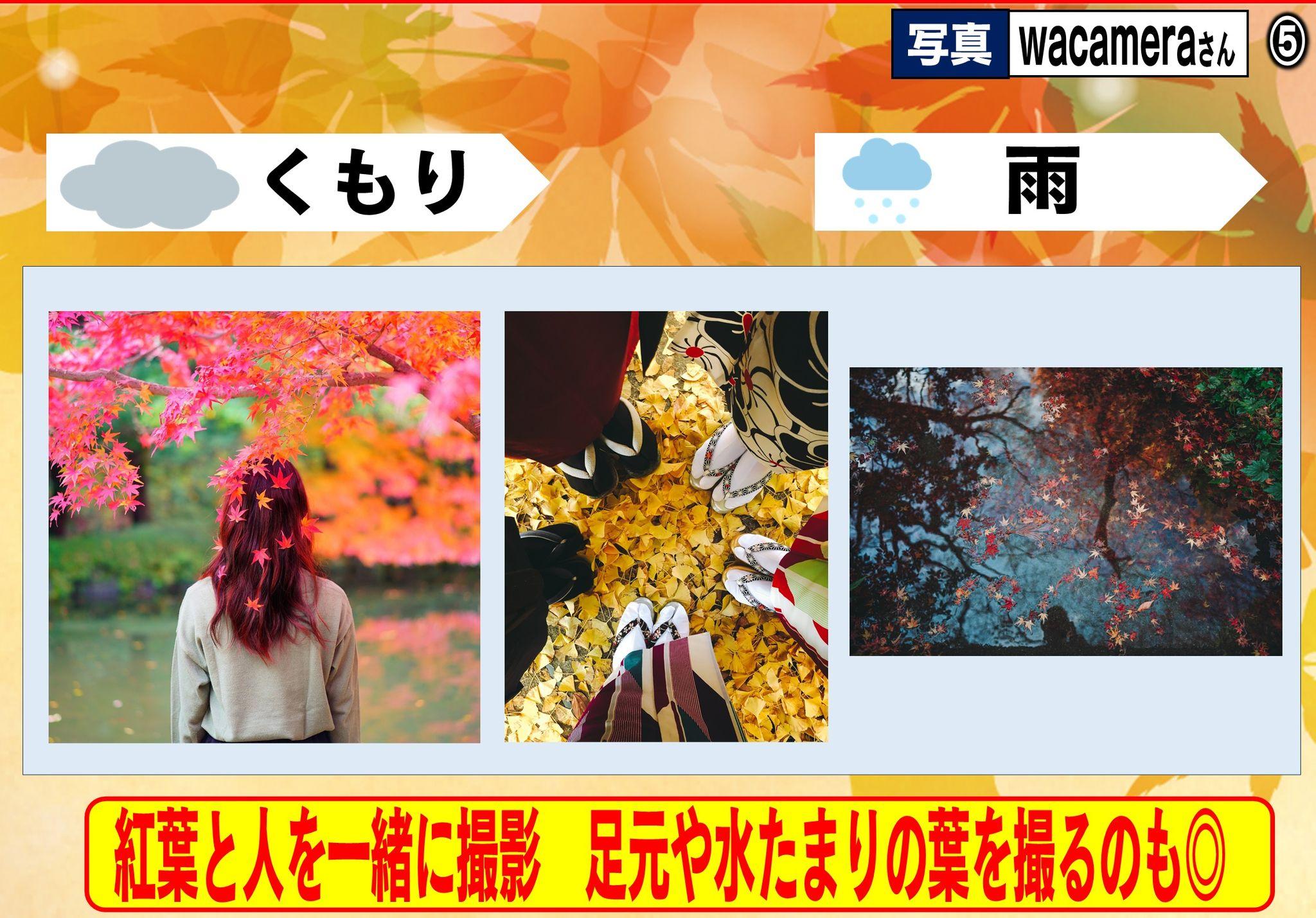 め8紅葉 (6)