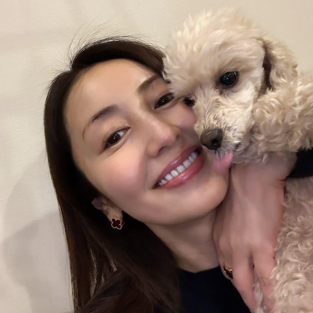 矢田亜希子犬