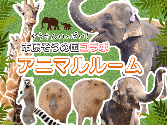 市原ぞうの国×高滝湖グランピングリゾート！動物テーマの特別ルームでワクワク体験！「市原ぞうの国」コラボ宿泊プラン