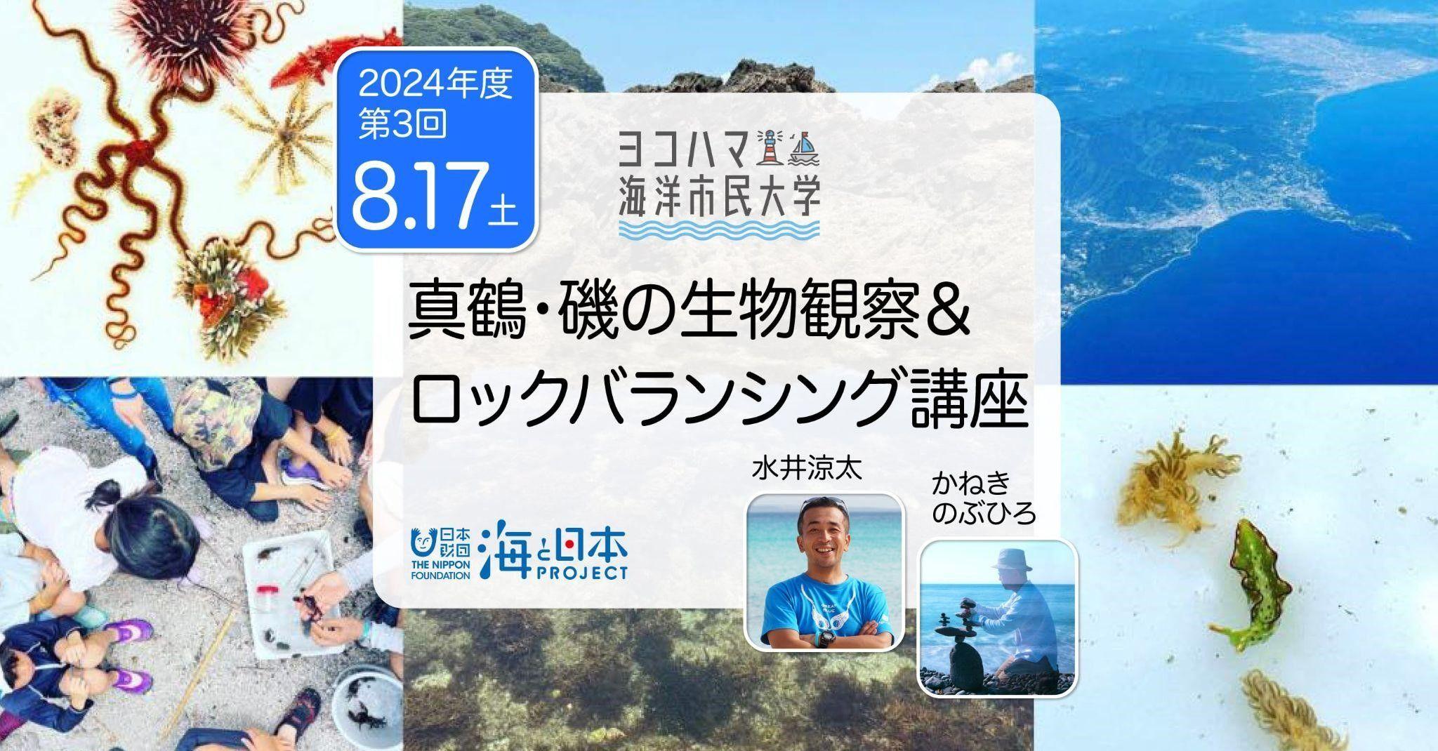 ヨコハマ海洋市民大学2024年度 第3回講座「真鶴・磯の生物観察＆ロックバランシング講座」を開催します。