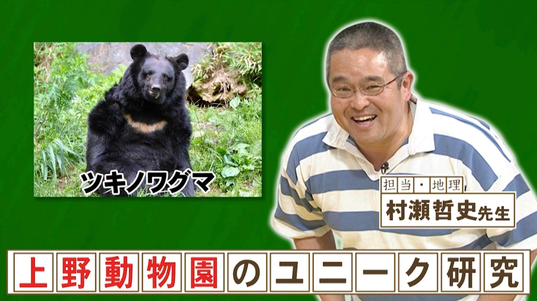 冬眠しないのは“本来の姿ではない”と議論！動物園のツキノワグマを冬眠させた方法『ネプリーグ』で放送の＜豆知識＞